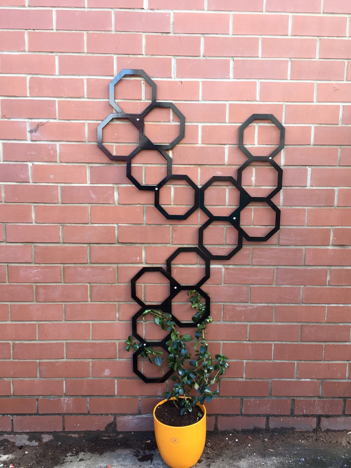 Metal garden trellis panels arranged in a pattern