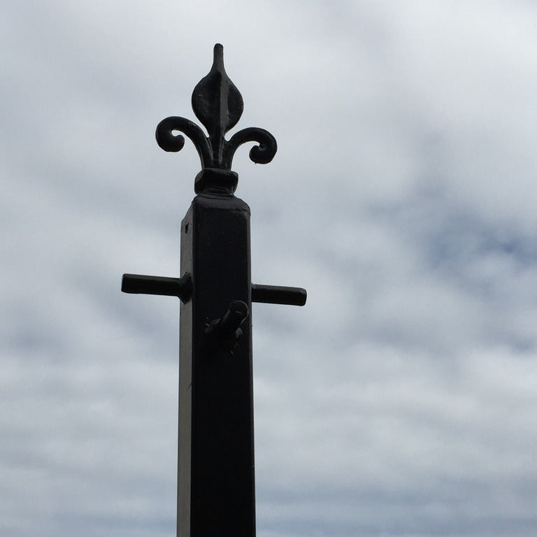 Black fleur de lys clothes line pole fitted in a garden
