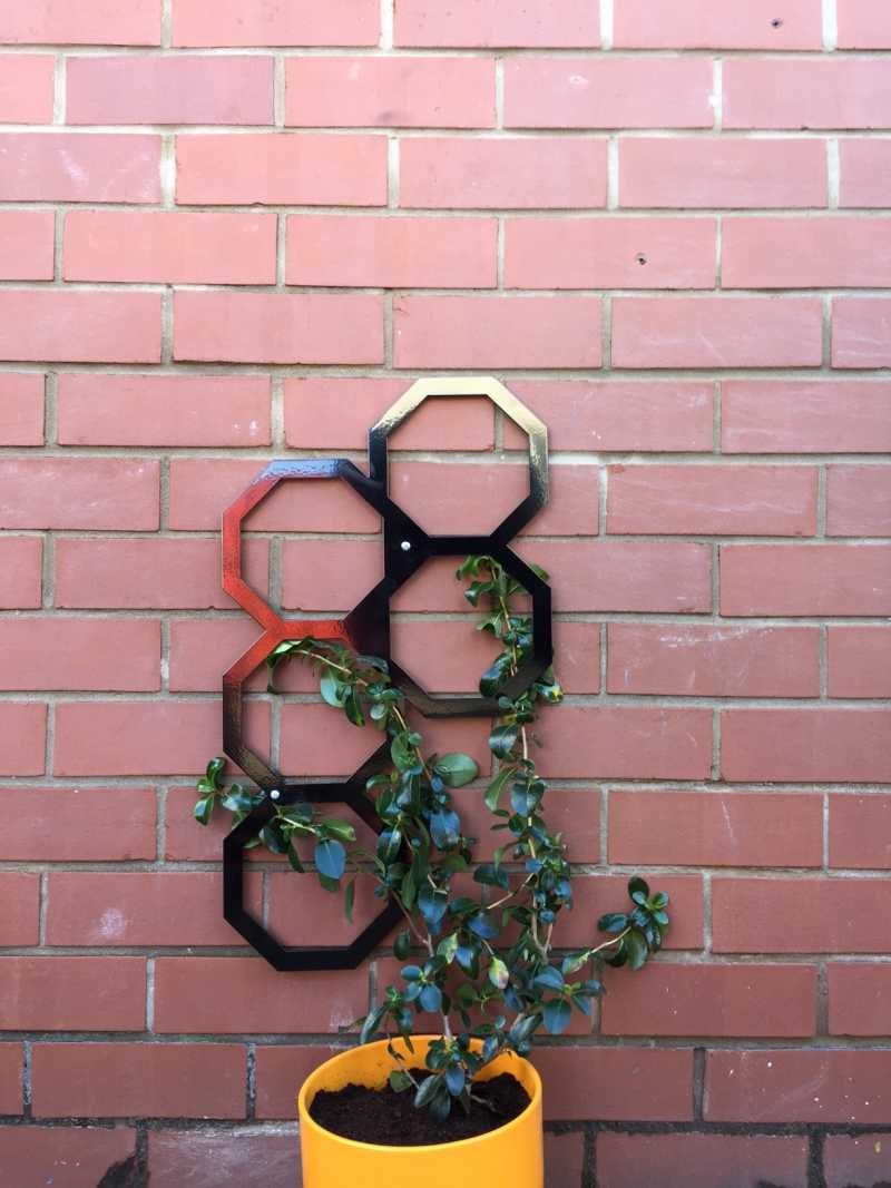 Metal trellis panel with a climbing plant growing through it