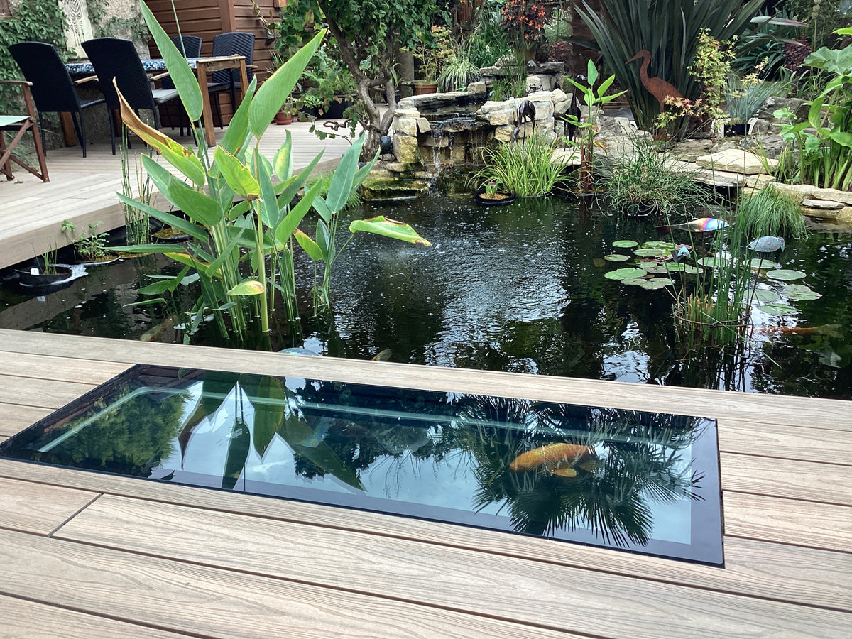 Walk-on glass viewing panel in a steel frame set into decking over a koi pond