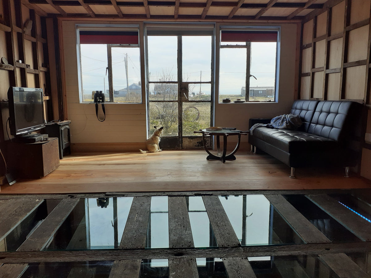 Walk-on glass floor panels set between timber joists in a garden room